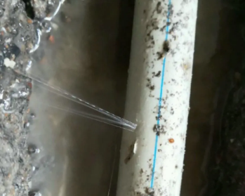 申扎卫生间测漏水多少钱