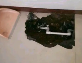 申扎卫生间测漏水多少钱